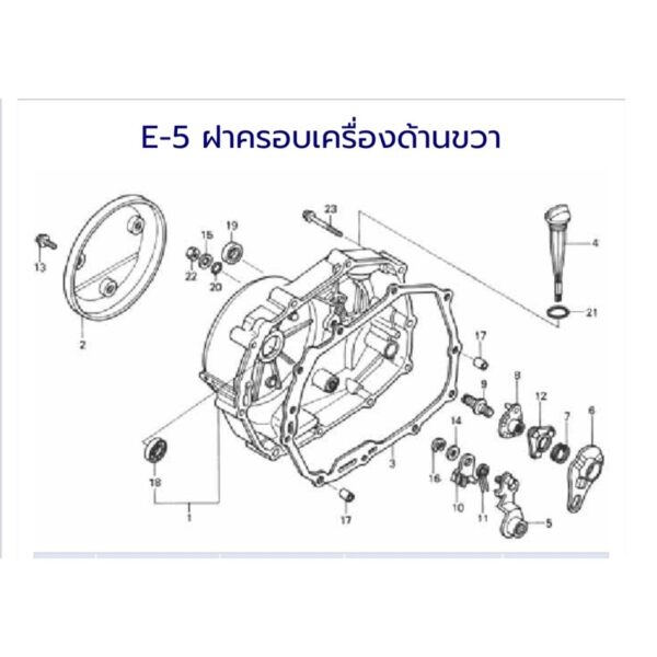 Nova-s แท้