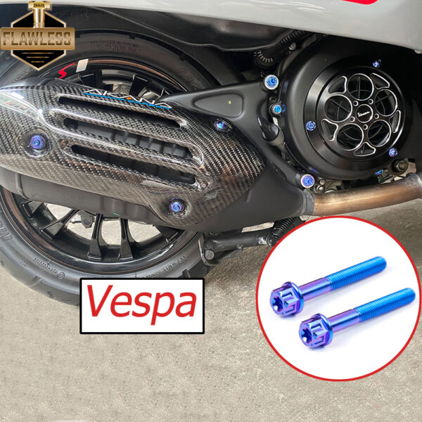 Flawless-ti Vespa Sprint 150 Primavera 150 S 150 น็อตไทเทเนียมแท้ น็อตแคร้ง ปิดจานไฟ น๊อตจานดส น็อตยึดท่อ กันร้อนเวฟ น็อต แกนล้อหลัง น็อตโช๊คหลัง หัวน็อต ตัวเมีย