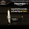 หัวเทียน Triumph ทุกรุ่น อะไหล่แท้ศูนย์ 100% / T100 / T120 / Speed Triple / Tiger / Street Twin / Speedmaster / Thruxton