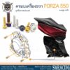 Forza350 น็อตเลส ยึดฝาครอบเครื่องด้านขวา ครบชุด 12 ตัว น็อตสแตนเลส ราคาขายต่อ 1 ชุด งานเฮงสกรู